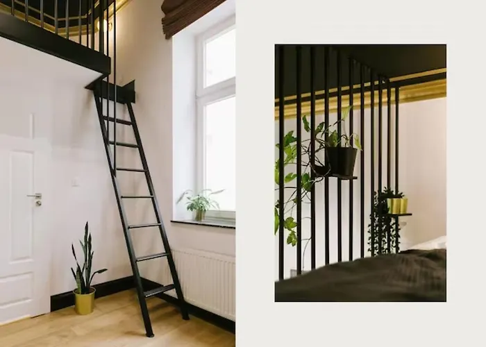 公寓 Studencka Old Town 克拉科夫